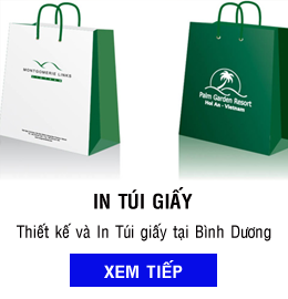 In túi giấy - Công Ty TNHH Quảng Cáo Khắc Dấu Thanh Niên